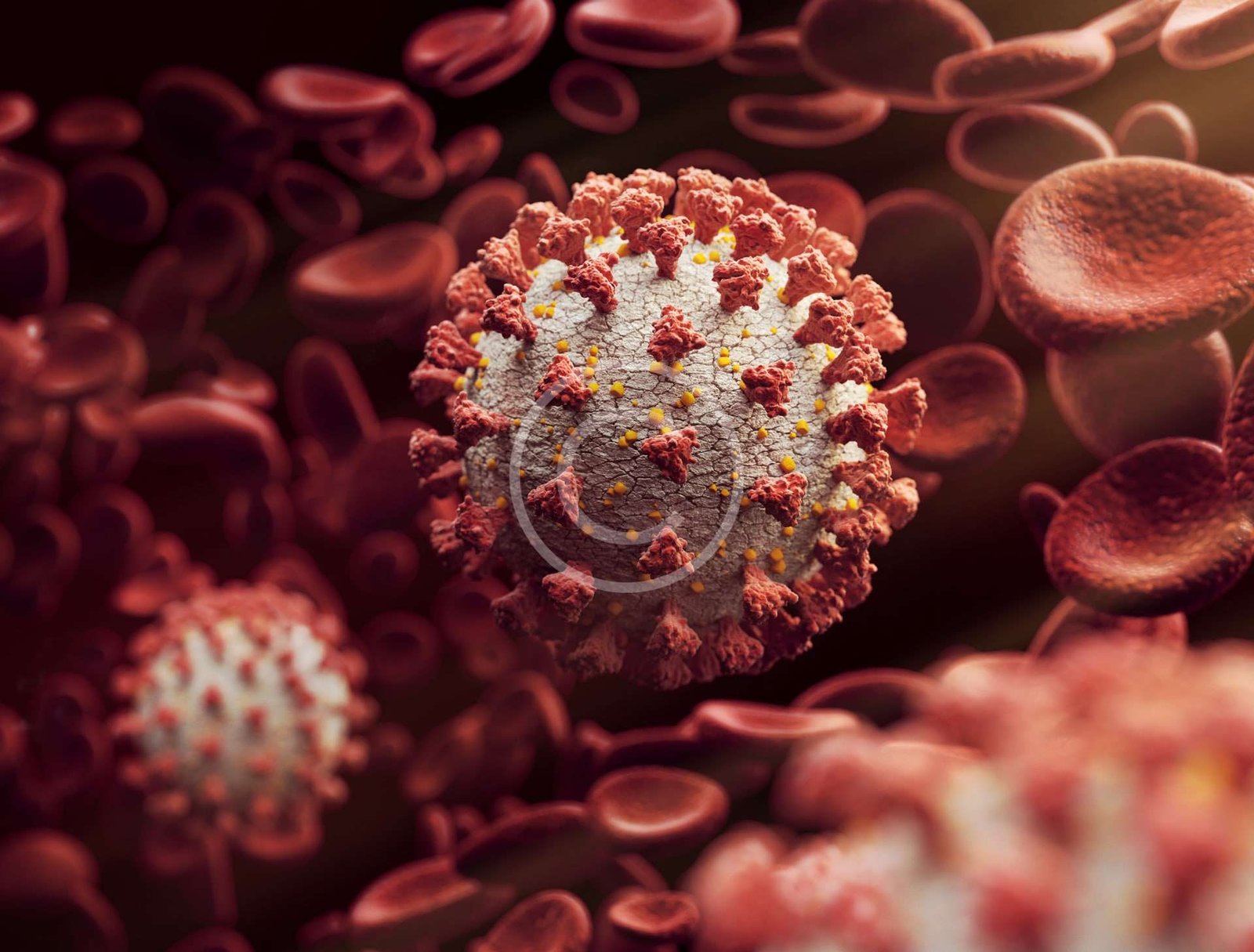 Comprehensive liver function test